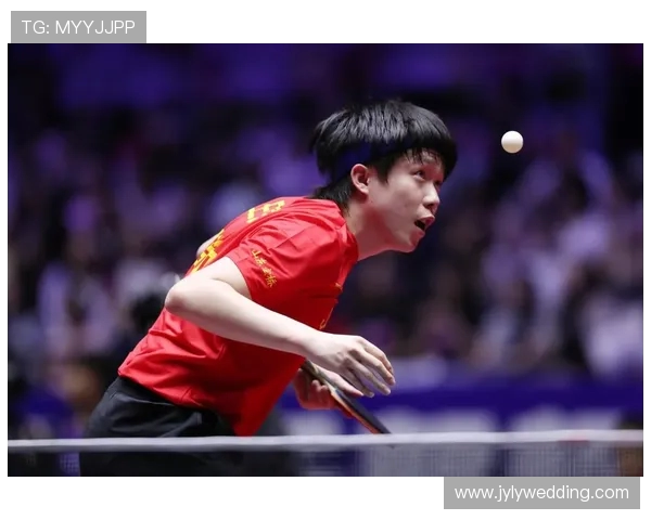 南京乒乓球队个人能力深度剖析与发展潜力探讨